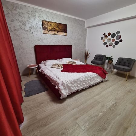 Studio Red Apartment Brasov Bagian luar foto