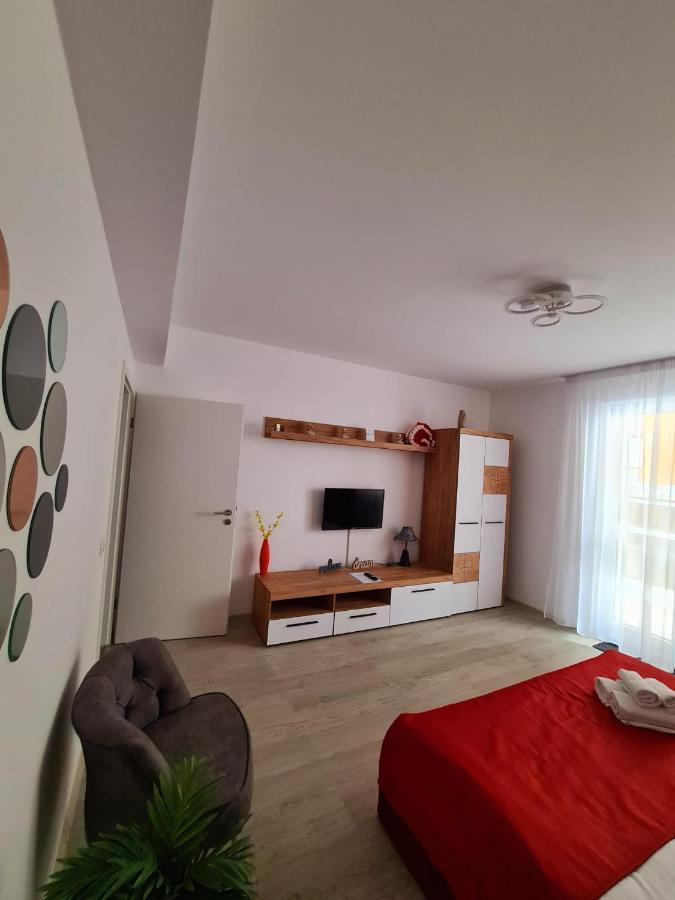 Studio Red Apartment Brasov Bagian luar foto