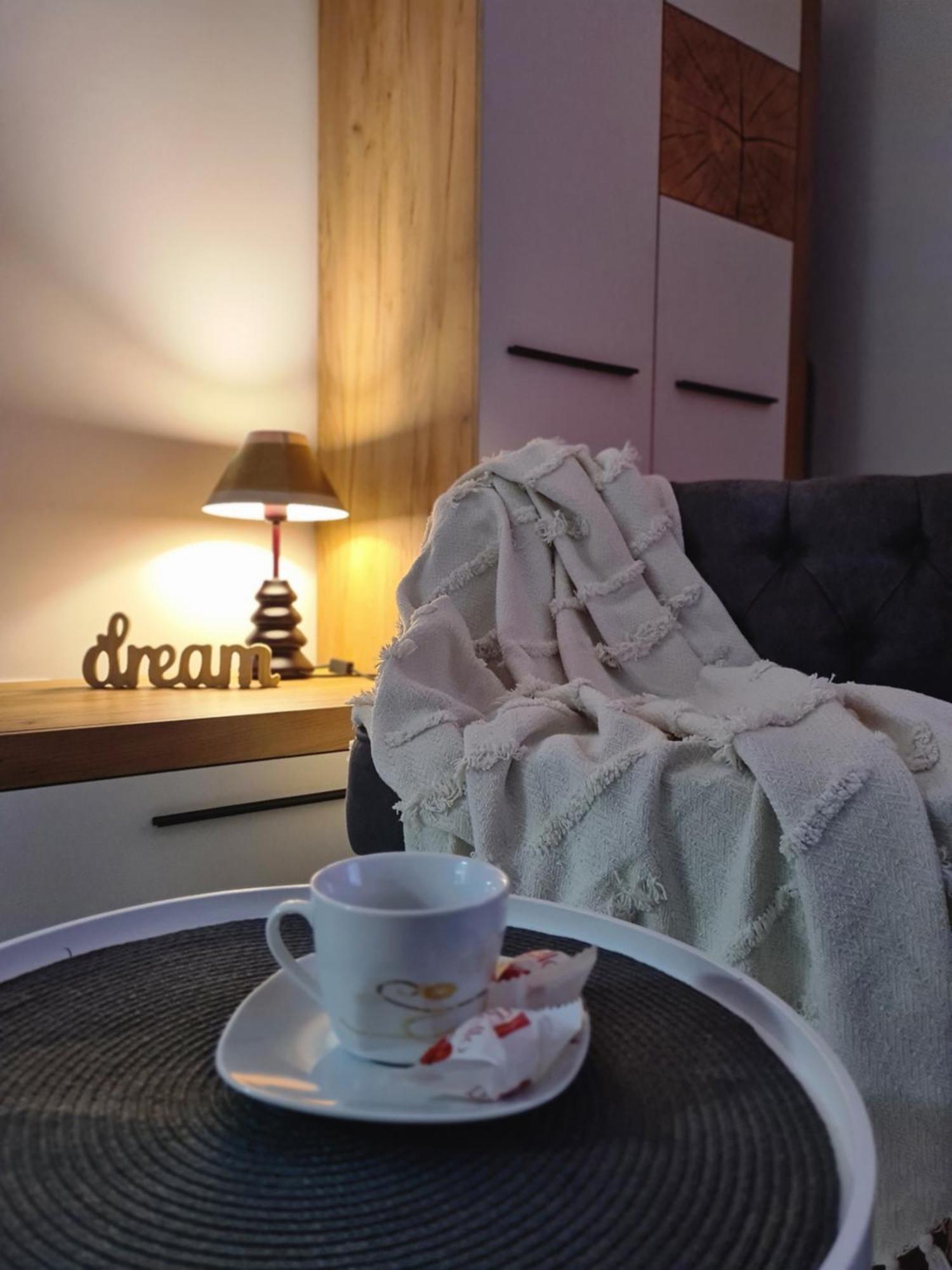 Studio Red Apartment Brasov Bagian luar foto